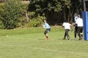 OTFL Gallery Image
